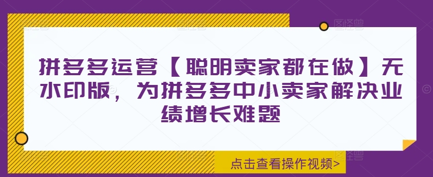 拼多多运营【聪明卖家都在做】无水印版，为拼多多中小卖家解决业绩增长难题-赚金金-技能学习分享