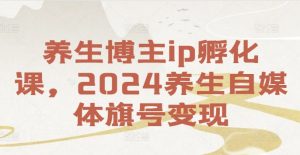 养生博主ip孵化课,2024养生自媒体旗号变现-赚金金-技能学习分享