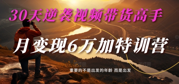 30天逆袭视频带货高手，单月变现6万加特训营-麦子甜-赚金金-技能学习分享