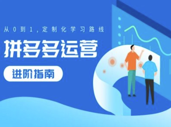 拼多多运营进阶指南，从0到1定制化学习路线-赚金金-技能学习分享