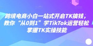 跨境电商小白一站式开启TK搞钱,教你“从0到1”学TikTok运营轻松掌握TK实操技能-赚金金-技能学习分享