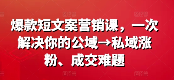 爆款短文案营销课，一次解决你的公域→私域涨粉、成交难题-赚金金-技能学习分享