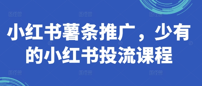 小红书薯条推广，少有的小红书投流课程-赚金金-技能学习分享
