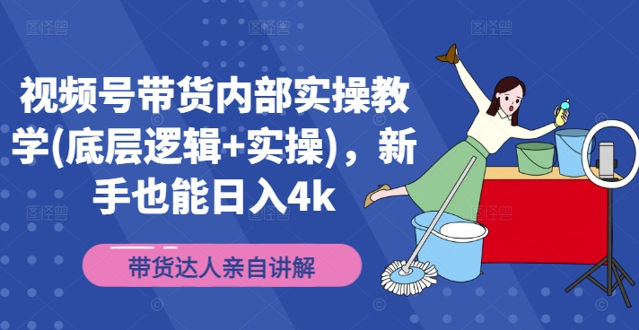 视频号带货内部实操教学(底层逻辑+实操)，新手也能日入4k-赚金金-技能学习分享