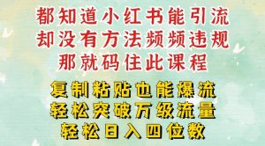 小红书靠复制粘贴一周突破万级流量池干货,以减肥为例,每天稳定引流变现四位数【揭秘】-赚金金-技能学习分享