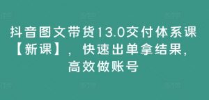 抖音图文带货13.0交付体系课【新课】,快速出单拿结果,高效做账号-赚金金-技能学习分享