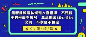 最新视频号私域无人直播课，不违规不封号更不废号，单品佣金50%-65%之间，不灰色不投流-赚金金-技能学习分享