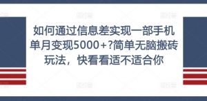 如何通过信息差实现一部手机单月变现5000+?简单无脑搬砖玩法,快看看适不适合你【揭秘】-赚金金-技能学习分享