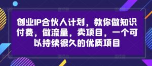 创业IP合伙人计划,教你做知识付费,做流量,卖项目,一个可以持续很久的优质项目-赚金金-技能学习分享