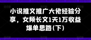小说推文推广大佬经验分享,女频长文1天1万收益爆单思路(下)-赚金金-技能学习分享