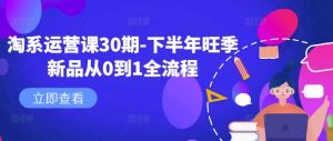 淘系运营课30期-下半年旺季新品从0到1全流程-赚金金-技能学习分享