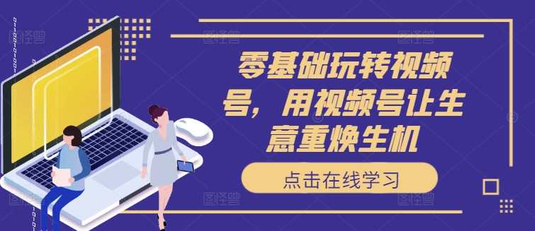 零基础玩转视频号，用视频号让生意重焕生机-赚金金-技能学习分享