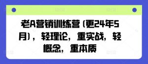 老A营销训练营(更24年7月)，轻理论，重实战，轻概念，重本质-赚金金-技能学习分享