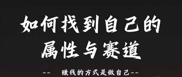 赛道和属性2.0：如何找到自己的属性与赛道，赚钱的方式是做自己-赚金金-技能学习分享