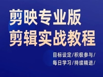 剪映专业版剪辑实战教程，目标设定/积极参与/每日学习/持续精进-赚金金-技能学习分享