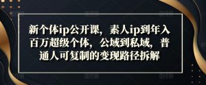 新个体ip公开课,素人ip到年入百万超级个体,公域到私域,普通人可复制的变现路径拆解-赚金金-技能学习分享