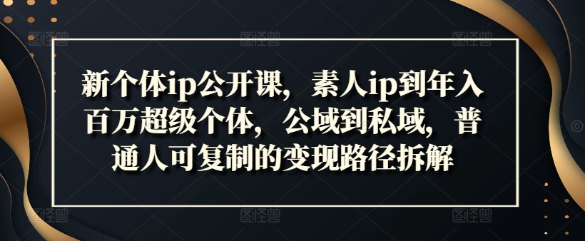 新个体ip公开课，素人ip到年入百万超级个体，公域到私域，普通人可复制的变现路径拆解-赚金金-技能学习分享