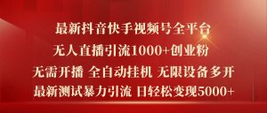 最新抖音快手视频号全平台无人直播引流1000+精准创业粉,日轻松变现5k+【揭秘】-赚金金-技能学习分享