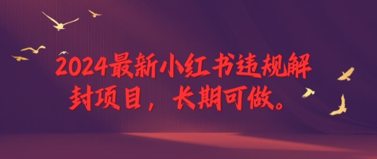 2024最新小红书违规解封项目，长期可做，一个可以做到退休的项目【揭秘】-赚金金-技能学习分享