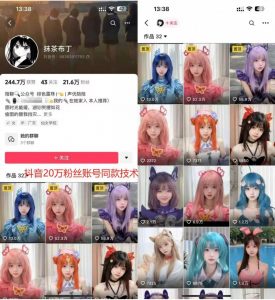 云天二次元美女起号教学,月涨10万粉丝,不判搬运-赚金金-技能学习分享