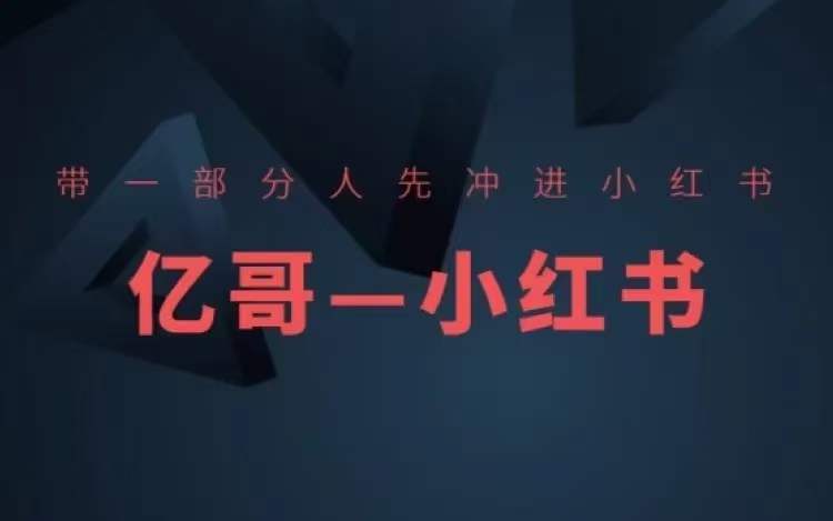 ​​带一部分人先冲进小红书，小红书开店、选品、爆款裂变-赚金金-技能学习分享