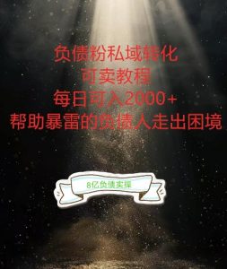 负债粉掘金计划，帮助负债者解决问题，债务规划，债务重组，最好的变现方式【揭秘】-赚金金-技能学习分享