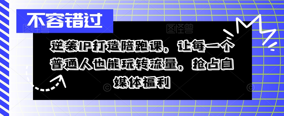 逆袭IP打造陪跑课，让每一个普通人也能玩转流量，抢占自媒体福利-赚金金-技能学习分享