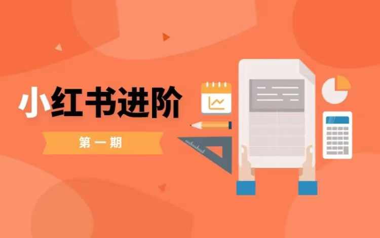 小红书进阶篇，零基础小白实战课，普通人变现的课程-赚金金-技能学习分享