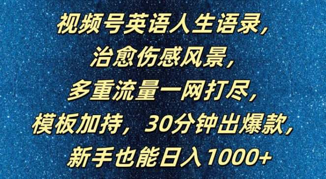 视频号英语人生语录，多重流量一网打尽，模板加持，30分钟出爆款，新手也能日入1000+【揭秘】-赚金金-技能学习分享