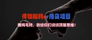 得物搬砖撸货项目?掰下数据,我给你们说说顶层思维【揭秘】-赚金金-技能学习分享