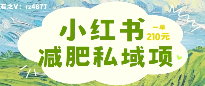 小红书减肥粉，私域变现项目，一单就达210元，小白也能轻松上手【揭秘】-赚金金-技能学习分享