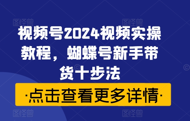 视频号2024视频实操教程，蝴蝶号新手带货十步法-赚金金-技能学习分享