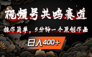 视频号共鸣赛道,操作简单,5分钟1个原创作品,日入几张【揭秘】-赚金金-技能学习分享