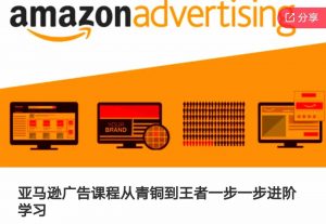 亚马逊广告课程,从青铜到王者一步一步进阶学习(更新9月)-赚金金-技能学习分享