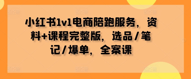 小红书1v1电商陪跑服务，资料+课程完整版，选品/笔记/爆单，全案课-赚金金-技能学习分享