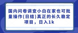 国内问卷调查小白在家也可批量操作(日结)真正的长久稳定项目,日入1k【揭秘】-赚金金-技能学习分享