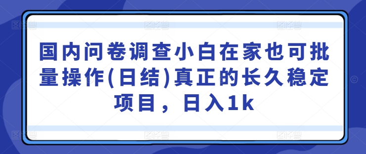 国内问卷调查小白在家也可批量操作(日结)真正的长久稳定项目，日入1k【揭秘】-赚金金-技能学习分享