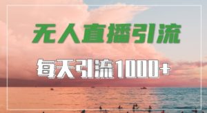 抖音快手视频号全平台通用,无人直播引流法,超暴力引流1000+高质量精准创业粉【揭秘】-赚金金-技能学习分享