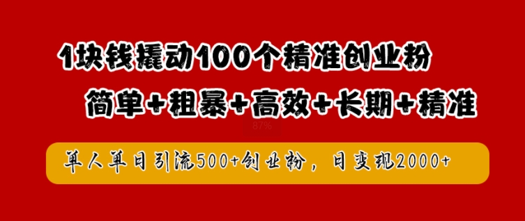 1块钱撬动100个精准创业粉，简单粗暴高效长期精准，单人单日引流500+创业粉，日变现2k【揭秘】-赚金金-技能学习分享