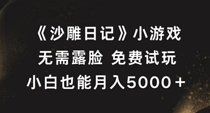 《沙雕日记》小游戏，无需露脸免费试玩，小白也能月入5000+【揭秘】-赚金金-技能学习分享