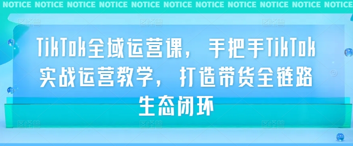 TikTok全域运营课，手把手TikTok实战运营教学，打造带货全链路生态闭环-赚金金-技能学习分享