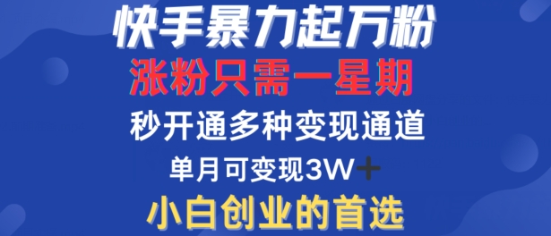 快手暴力起万粉，涨粉只需一星期，多种变现模式，直接秒开万合，单月变现过W【揭秘】-赚金金-技能学习分享