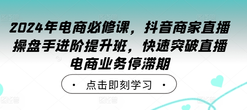 2024年电商必修课，抖音商家直播操盘手进阶提升班，快速突破直播电商业务停滞期-赚金金-技能学习分享