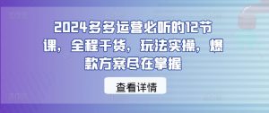 2024多多运营必听的12节课,全程干货,玩法实操,爆款方案尽在掌握-赚金金-技能学习分享