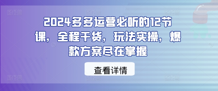 2024多多运营必听的12节课，全程干货，玩法实操，爆款方案尽在掌握-赚金金-技能学习分享