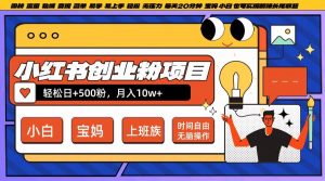小红书创业粉项目日+500粉，每天20分钟躺赚长尾收益，无脑操作，宝妈，小白抓紧冲【揭秘】-赚金金-技能学习分享