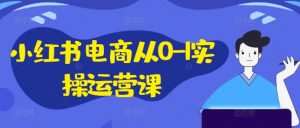 小红书电商从0-1实操运营课，小红书手机实操小红书/IP和私域课/小红书电商电脑实操板块等-赚金金-技能学习分享