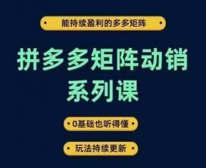 拼多多矩阵动销系列课，能持续盈利的多多矩阵，0基础也听得懂，玩法持续更新-赚金金-技能学习分享