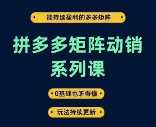 拼多多矩阵动销系列课，能持续盈利的多多矩阵，0基础也听得懂，玩法持续更新-赚金金-技能学习分享
