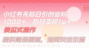 小红书无脑每日引流创业粉500+,小白每天只花半小时,躺赚长尾收益【揭秘】-赚金金-技能学习分享